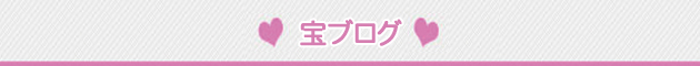 スイーツパラダイス スタッフブログRSS